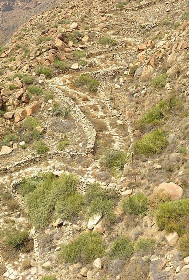 درب الجمالة الأثري.. لوحة تاريخية خلابة في أعالي الجبال بالمملكة