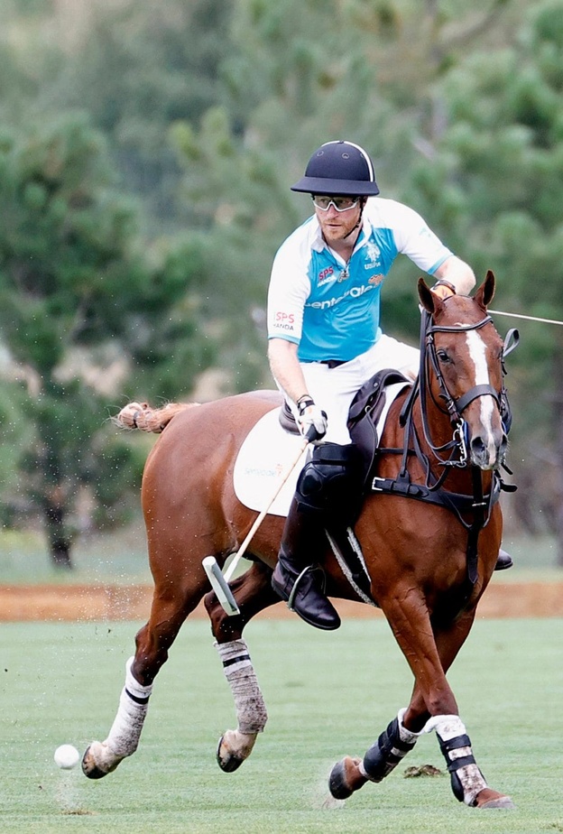 الأمير هاري قد يغيب عن حضور احتفالات اليوبيل البلاتيني للملكة بسبب البولو