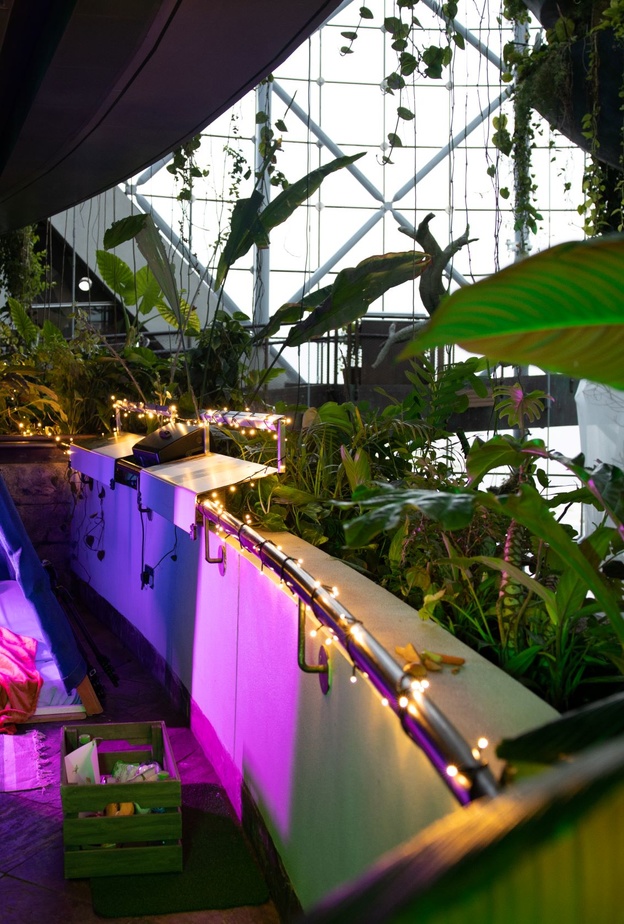 ذا جرين بلانيت تعيد إطلاق تجربة التخييم في رحاب الغابة المطيرة