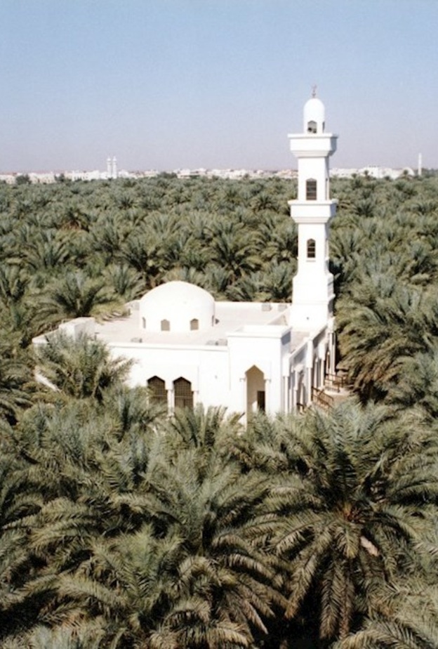 واحة ليوا التاريخية.. ملاذ ساحر لعشاق الاستجمام في أبوظبي 