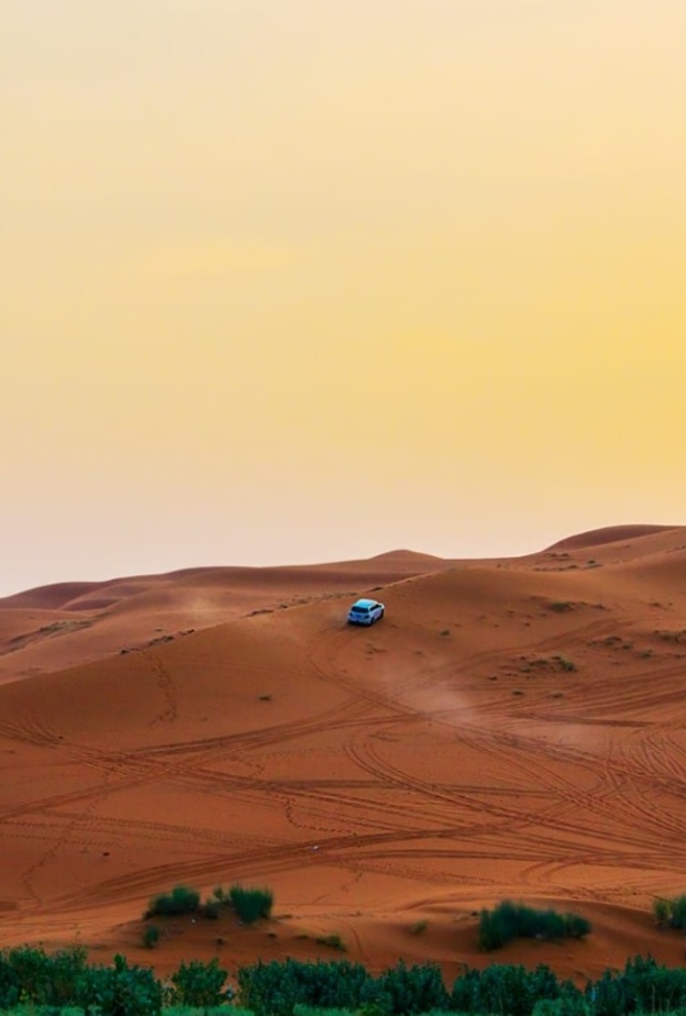 أجواء الطبيعة الساحرة في روضة الخرارة - المصدر روح السعودية