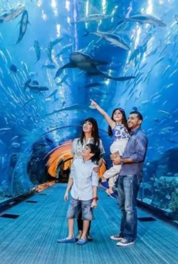 تجربة مميزة لجميع أفراد الأسرة في دبي أكواريوم وحديقة الحيوانات المائية - المصدر دبي أكواريوم