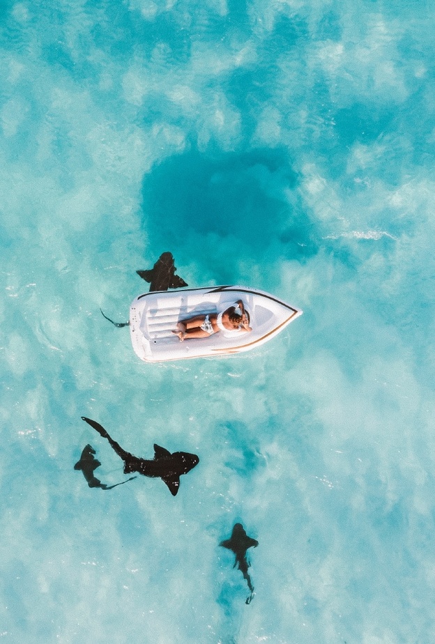 جزر البهاما Jared Rice.avif