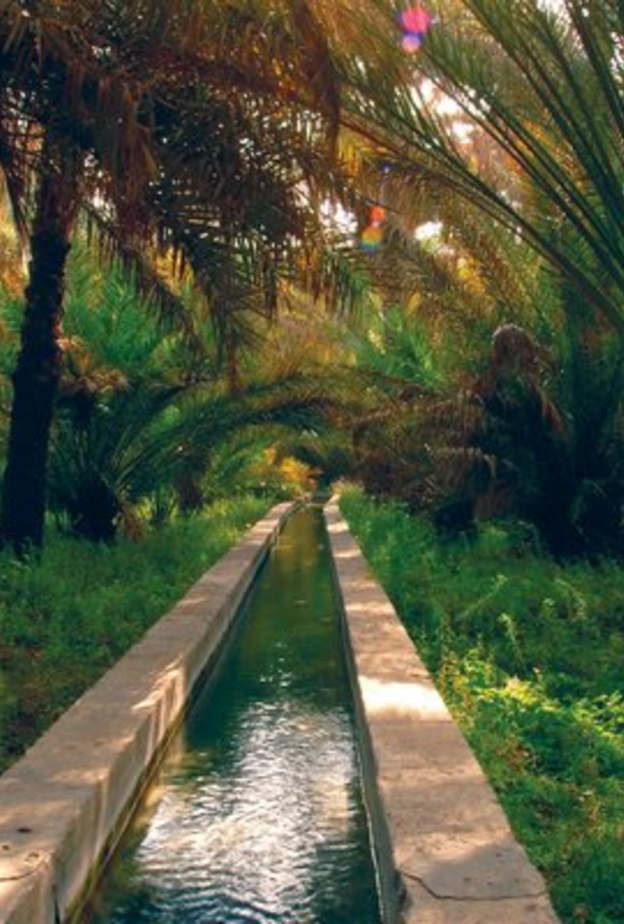 رحلة هانئة وأجواء دافئة في وادي الذيد لعشاق الطبيعة بالشارقة