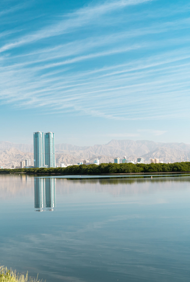 كورنيش القواسم