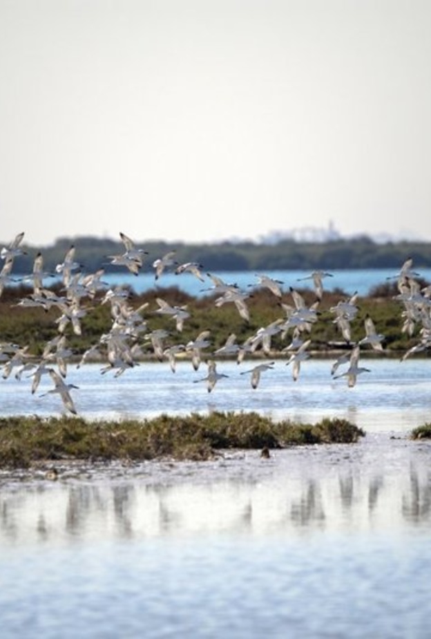 مناظر طبيعية خلابة في محمية السينية- المصدر وكالة أنباء الإمارات
