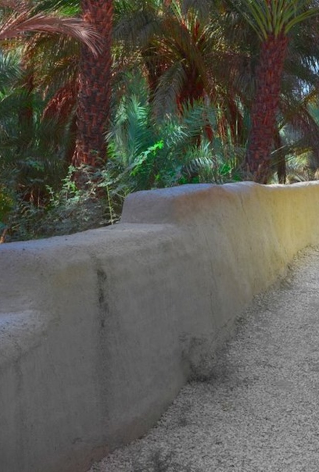 لعشاق الاستجمام والاسترخاء.. إليكم 4 تجارب ساحرة بأجمل الواحات في الإمارات