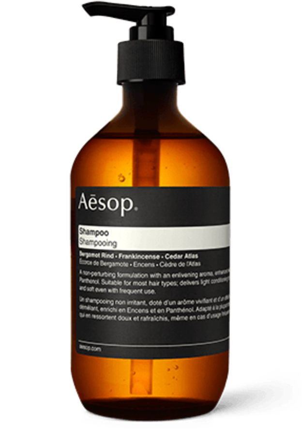 AESOP شامبو وبلسم ثنائي لطيف يوفر نتيجة مضمونة