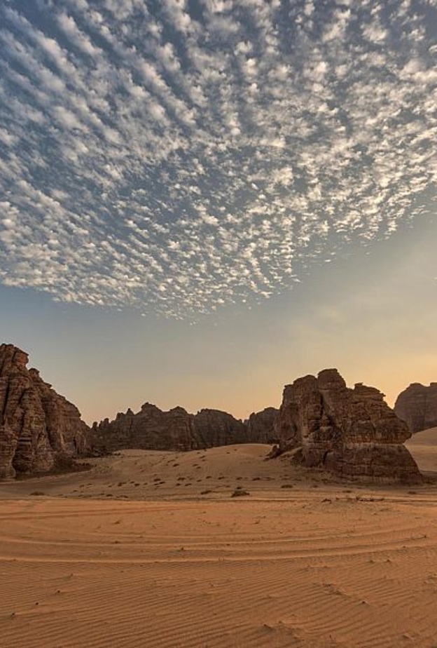 الهيئةُ الملكيةُ لمحافظةِ العُلا تطلقُ مشروعَ "وادي الفن"