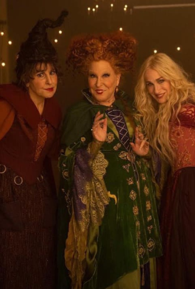 آن هاثاواي في دور الساحرة الشريرة