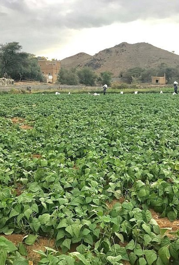 أجواء الطبيعة البكر في وادي العرين