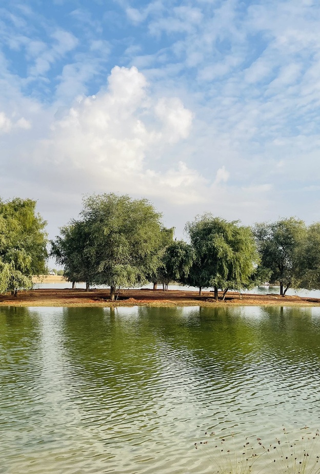  أجواء مثالية للاستجمام في بحيرات القدرة - المصدر @bastaki1976.