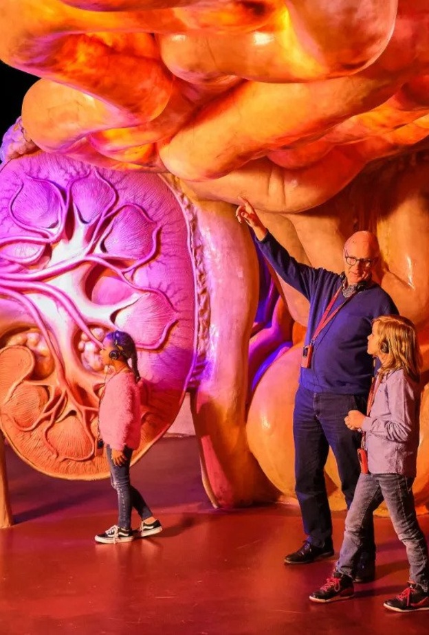 استمتع بإستكشاف جسم الانسان في متحف كوربوس