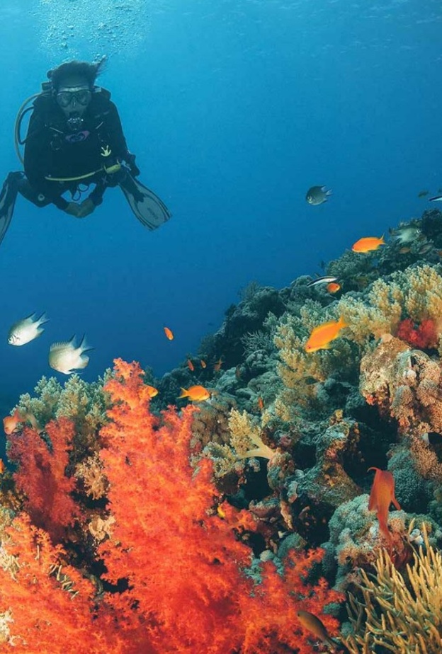 جرعة لا مثيل لها من المتعة والاستجمام في العيد.. إليكم أبرز التجارب الصيفية في أبحر