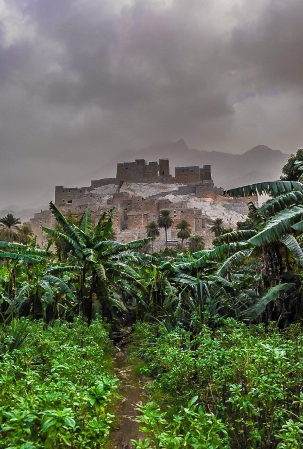 5 تجارب ساحرة لعشاق الاستجمام والمغامرة في قرية ذي عين التاريخية