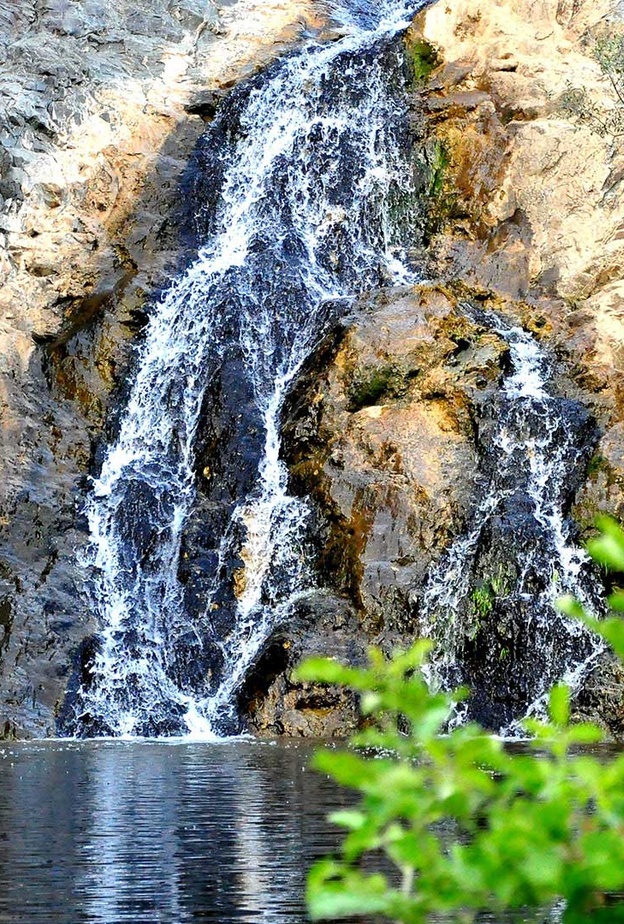 5 تجارب ممتعة لعشاق المغامرة في غابة رغدان