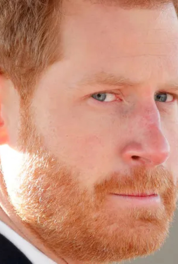 كتاب الأمير هاري الجديد يواجه منافسة قوية مع أحدث كتب ميشيل أوباما