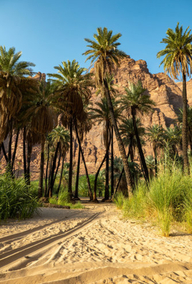 أبرز الوجهات السياحية في تبوك 