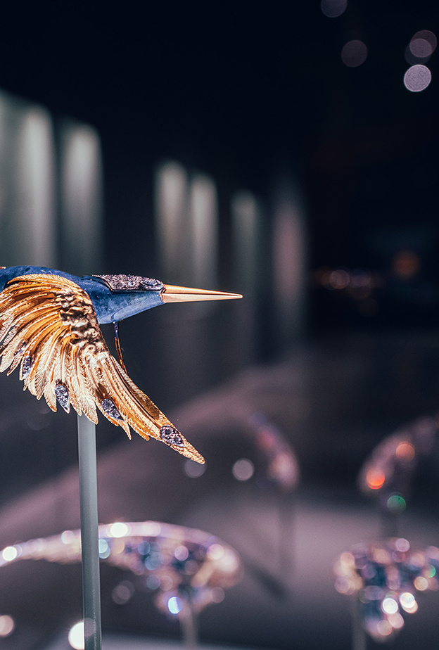 تعاون بين دار شوميه والفنان الإماراتي أحمد العريف لتسليط الضوء على أهمية الطبيعة