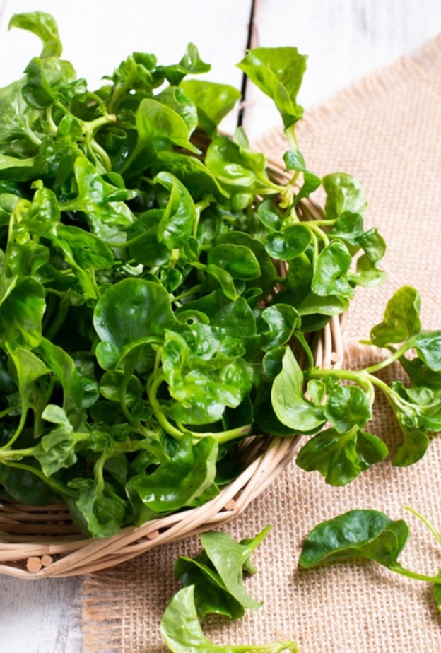 ما علاقة الجرجير بصحة القلب