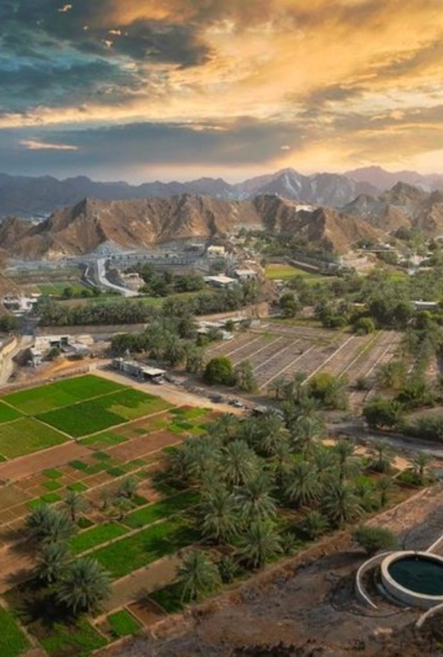 الطبيعة الساحرة في الفجيرة تأسر القلوب- المصدر وام