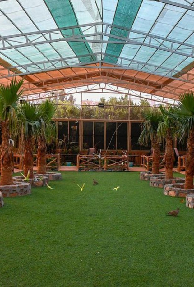 النزل الريفية وتصاميم تأسر القلوب - المصدر واس