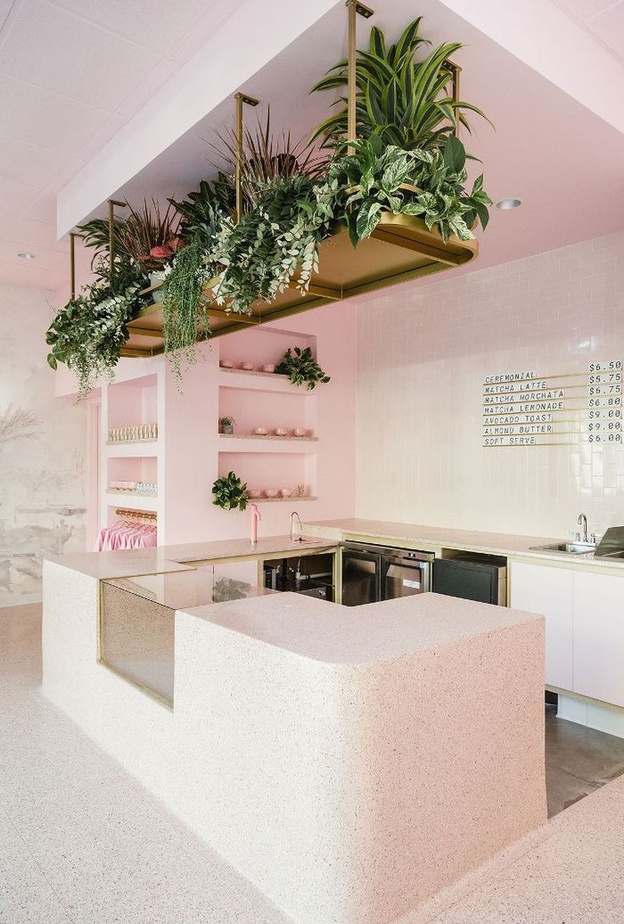 تصميم النباتات المعلقة في المطبخ يضفي عليه لمسة مميزة وجذابة