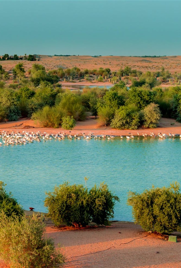 جانب من بحيرة الحب في دبي