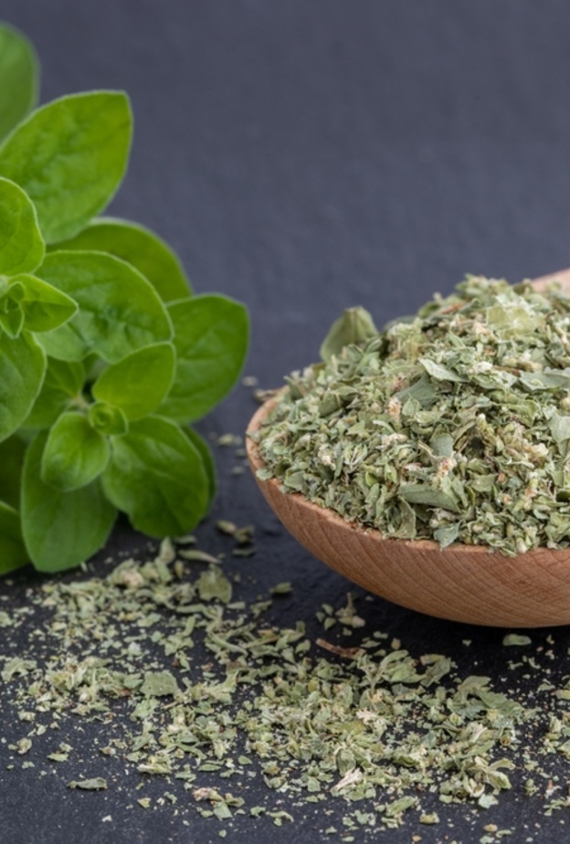 البردقوش لصحة النساء.. فوائد واستخدامات لا تحصى