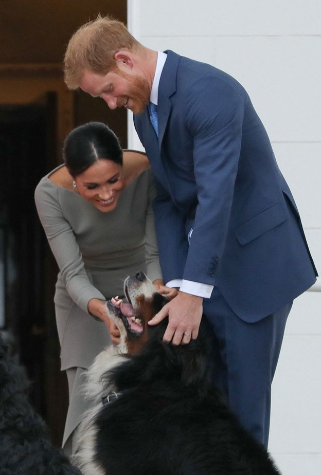 ما هي قصة "ماما ميا" كلبة ميغان ماركل والأمير هاري الجديدة؟