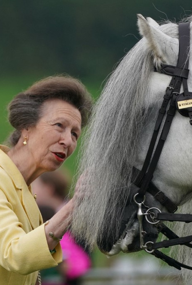 من هي الأميرة آن أكثر أفراد العائلة المالكة البريطانية نشاطًا؟