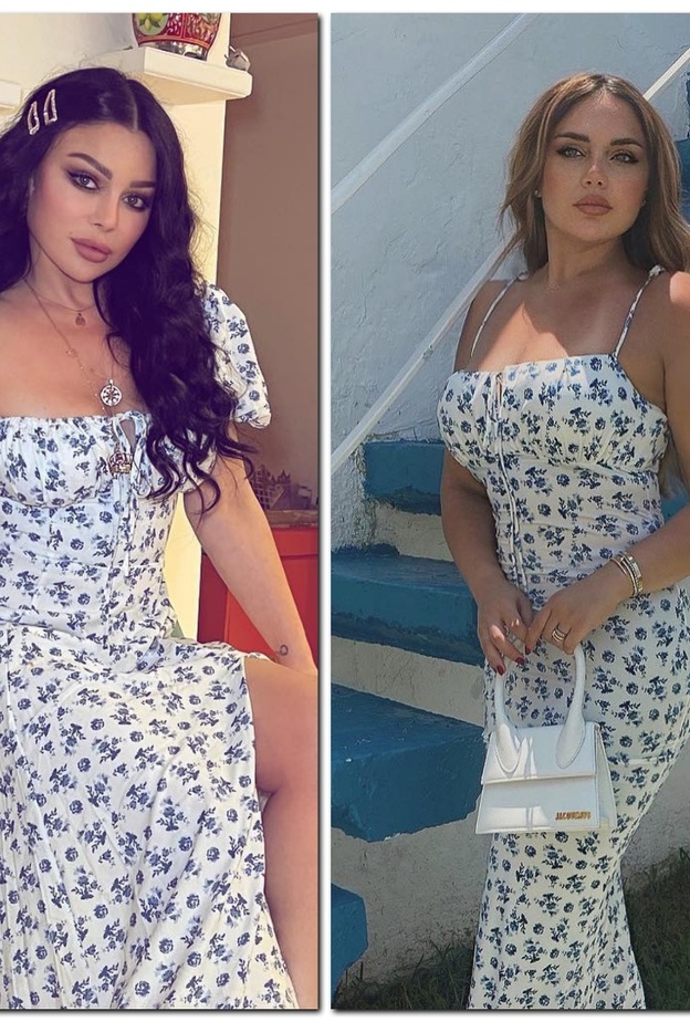 زينب فياض وهيفاء وهبي