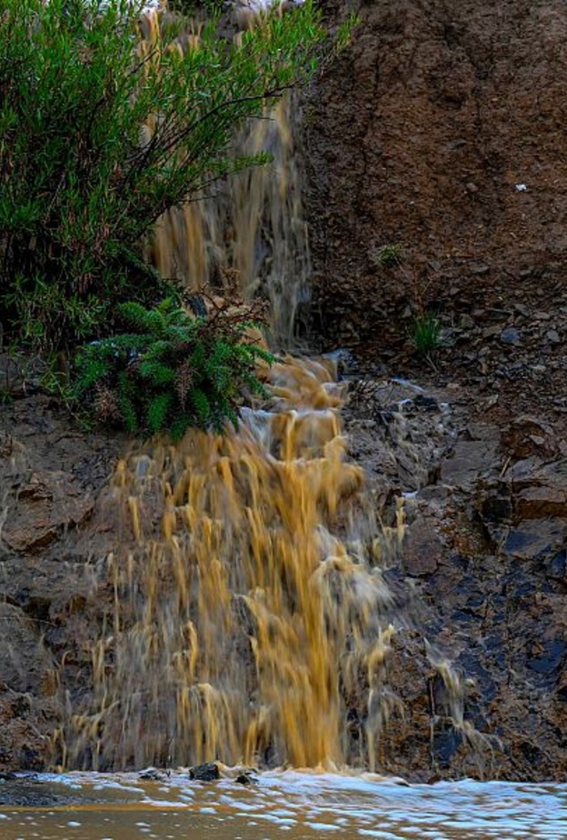 7 صور ساحرة لأجواء الباحة الربيعية الخلابة.. تجارب لا تنسى في أحضان الضباب والأمطار