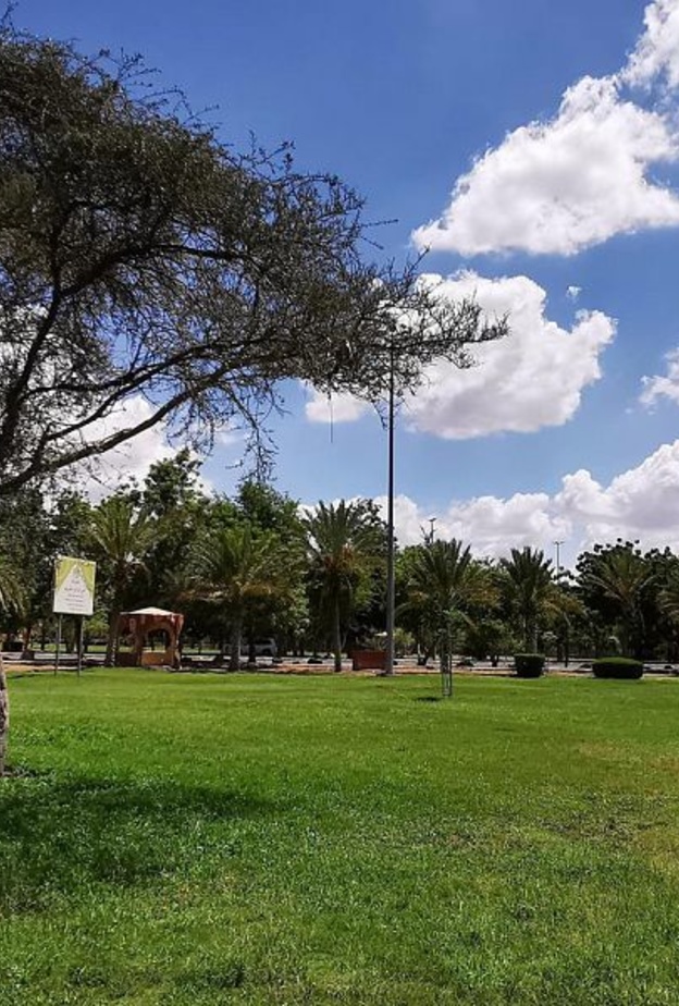 متنزه الملك فهد الوطني.. مسارات وتجارب متنوعة لعشاق الطبيعة في نجران