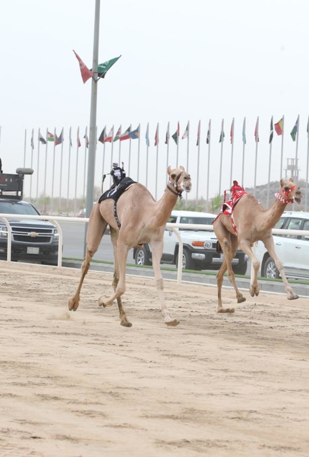 مغني الراب الأمريكي ينتزع الأول في خامس أشواط اللقايا بمهرجان ولي العهد للهجن 2022  