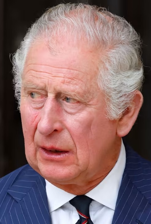 الأمير تشارلز يوجه رسالة هامة بمناسبة اليوم العالمي للشباب