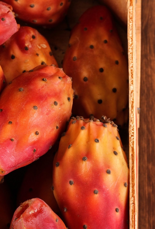 هذا الصيف.. تناولي التين الشوكي للإستفادة من فوائده الصحية المهمة