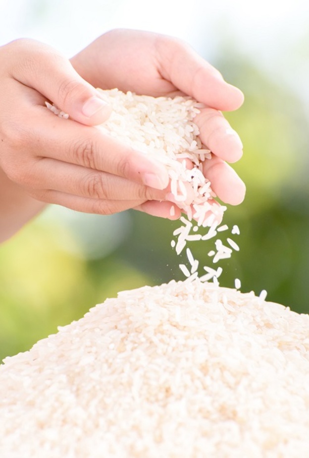 الفرق بين الأرز الأبيض والبني ليس باللون فقط 