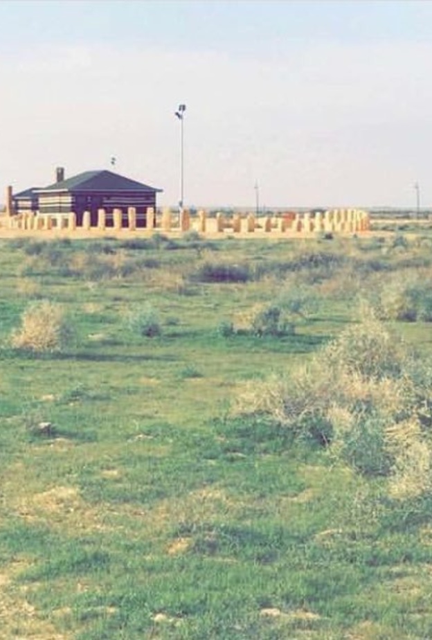 أجواء ممتعة للجميع في اليوم الوطني السعودي في منتزه الثمامة البري - المصدر @Thumamahcamps1.