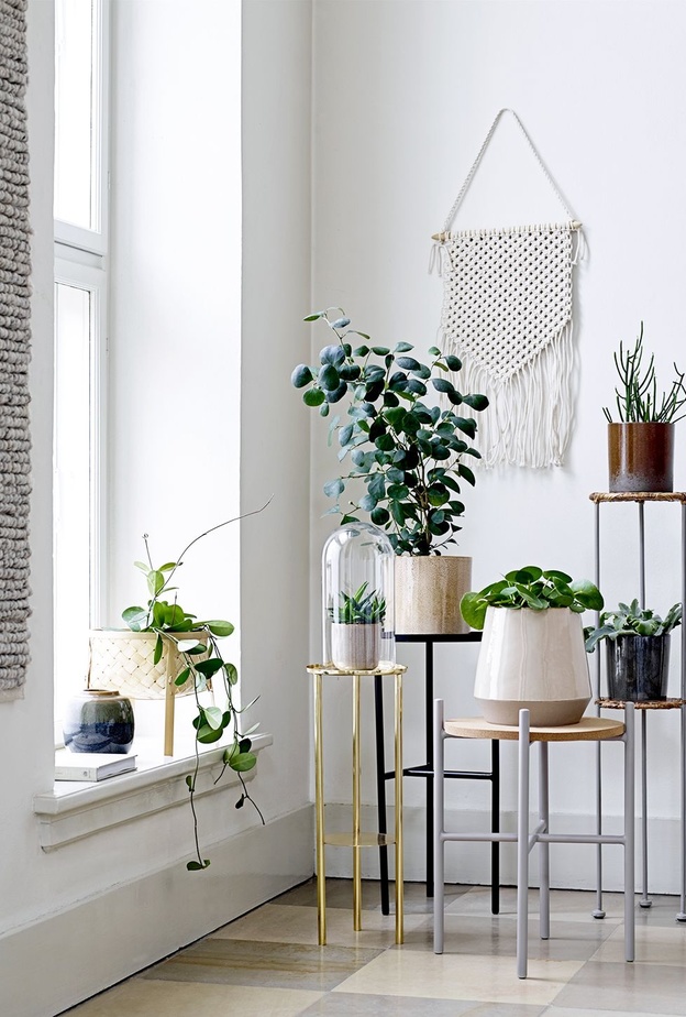 أحواض النباتات لزوايا منزل دافئ