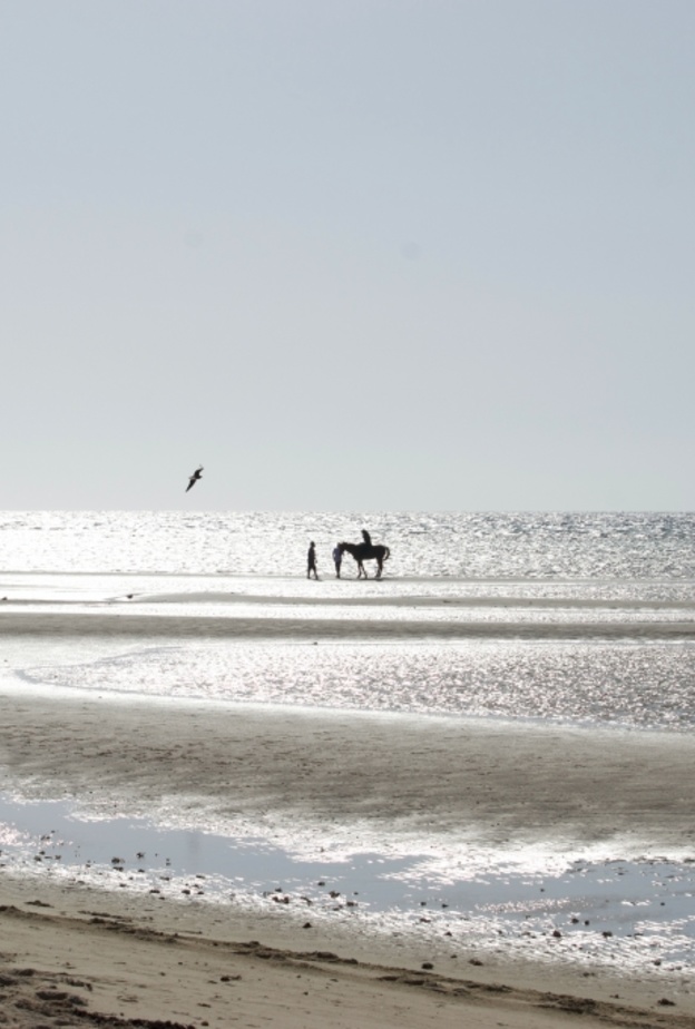 وجهات سياحية مثالية للعوائل في السعودية