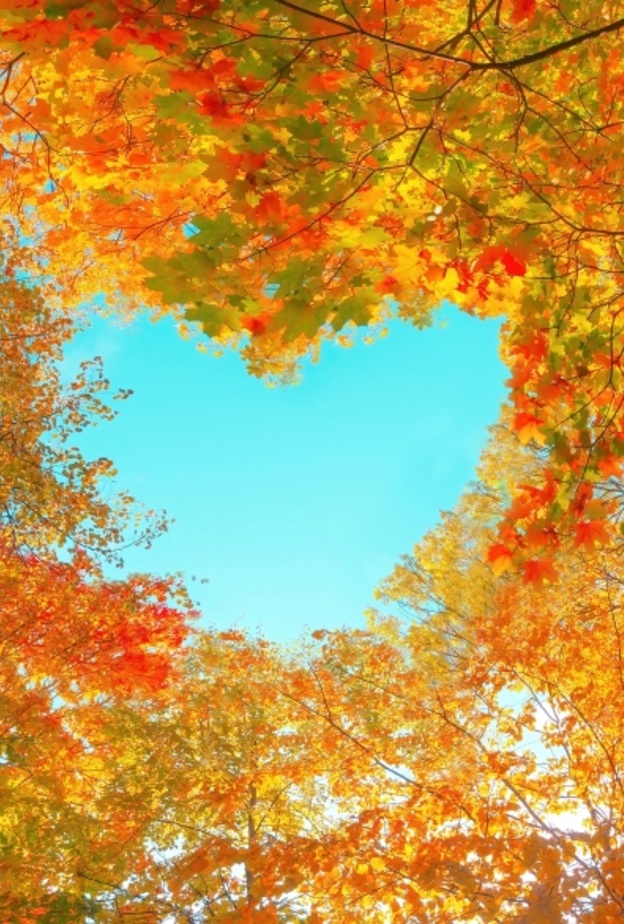 توقعات برج الميزان على الصعيد العاطفي لشهر أكتوبر 2022