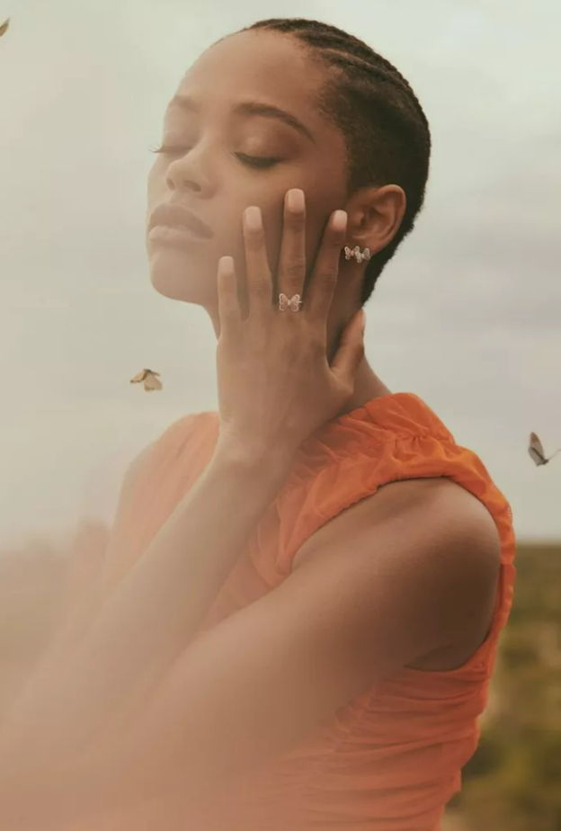 تُطبق شركة دي بيرز De Beers مبادئ الاستدامة 