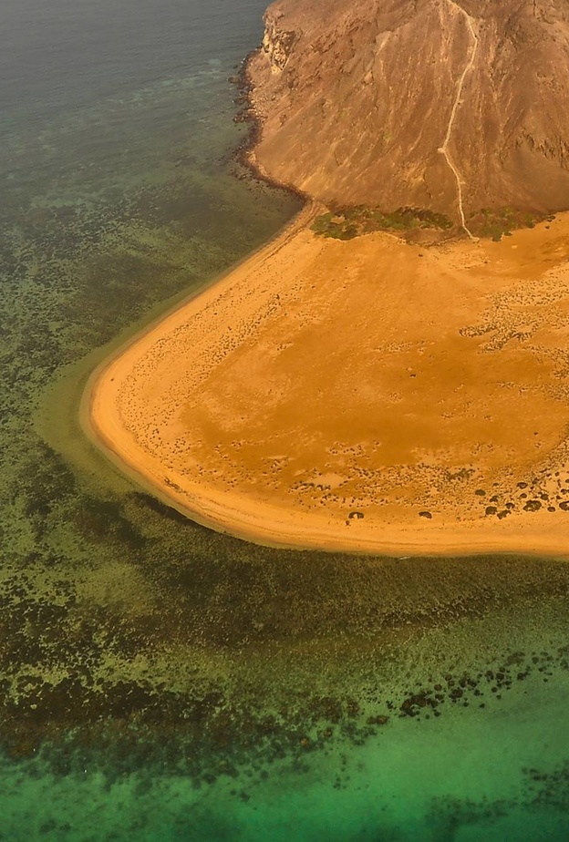 5 تجارب مشوقة يمكنك الاستمتاع بها في "مالديف المملكة" جزيرة كدمبل