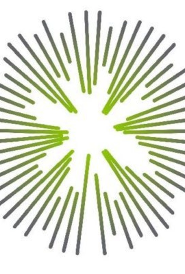 شعار الهيئة السعودية للفضاء