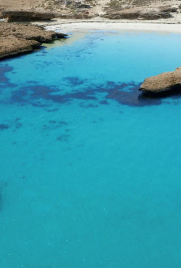 خيارات مثالية للاستجمام في المملكة- المصدر روح السعودية