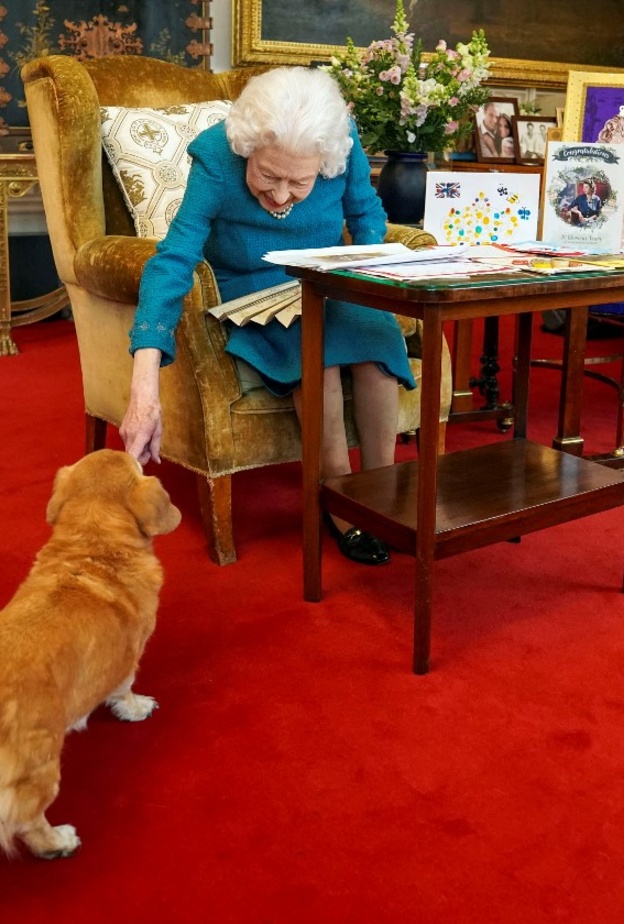 أين تذهب كلاب إليزابيث الثانية ملكة بريطانيا بعد وفاتها؟