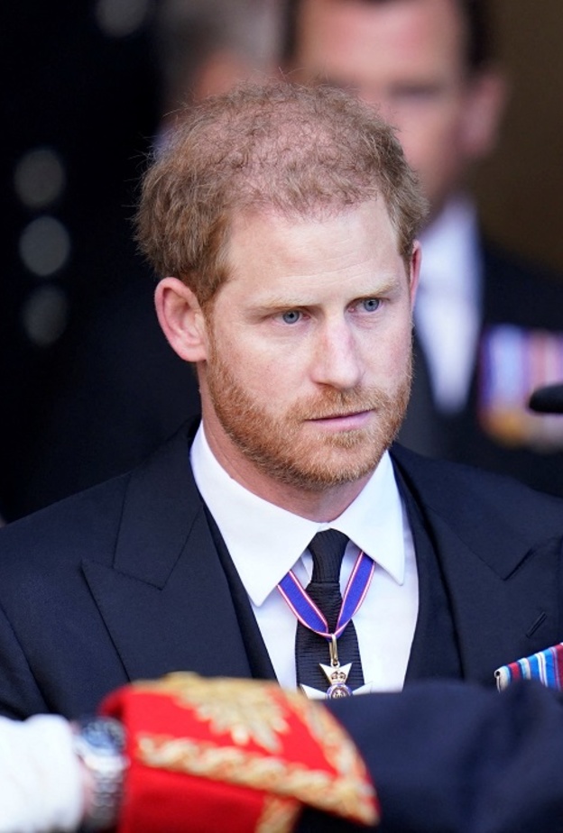 الامير هاري 