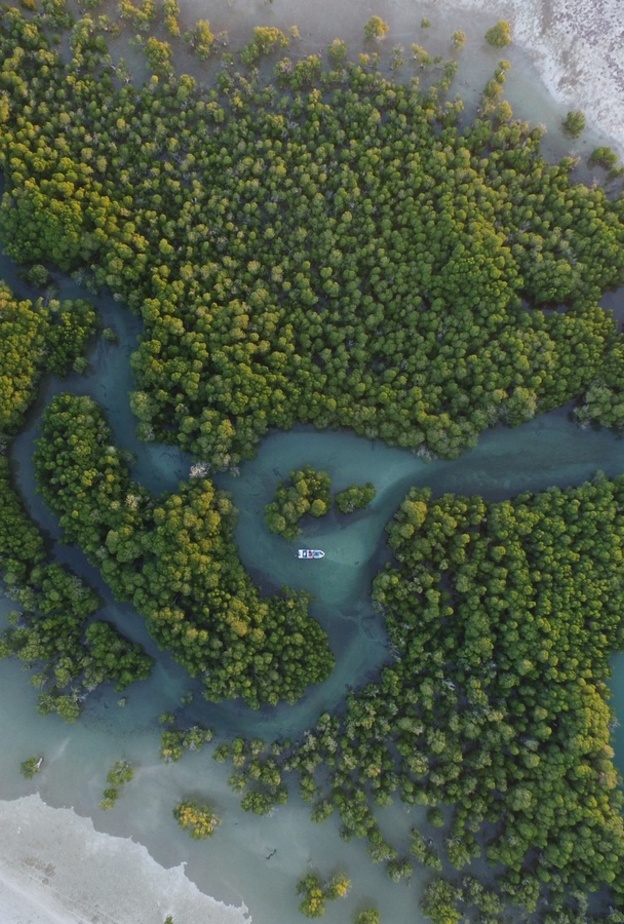 ضمن مبادرة السعودية الخضراء.. اتفاقية لإنتاج 19 مليون شتلة في 15 موقع بالمملكة