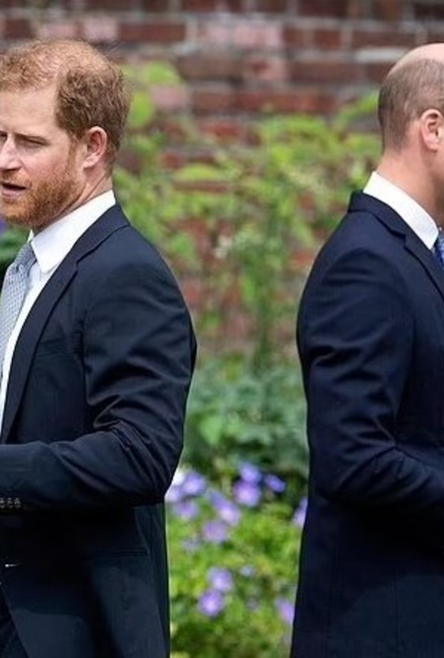 كيف يجعل ويليام وهاري "ديانا" حاضرة في ذاكرة أطفالهما؟  